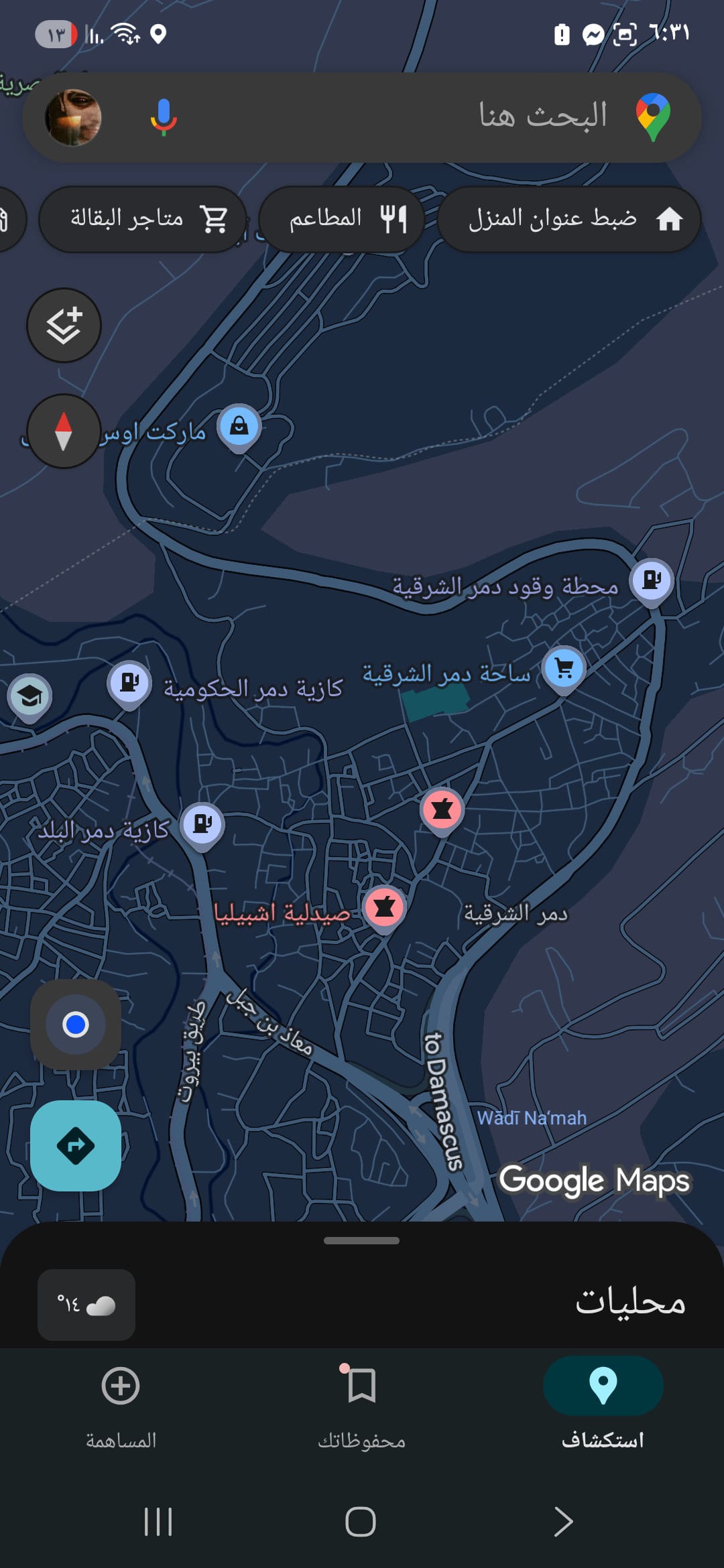 ارض بدمر الشرقية دمشق - 1
